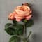 Coral English Rose Stem by Ashland&#xAE;